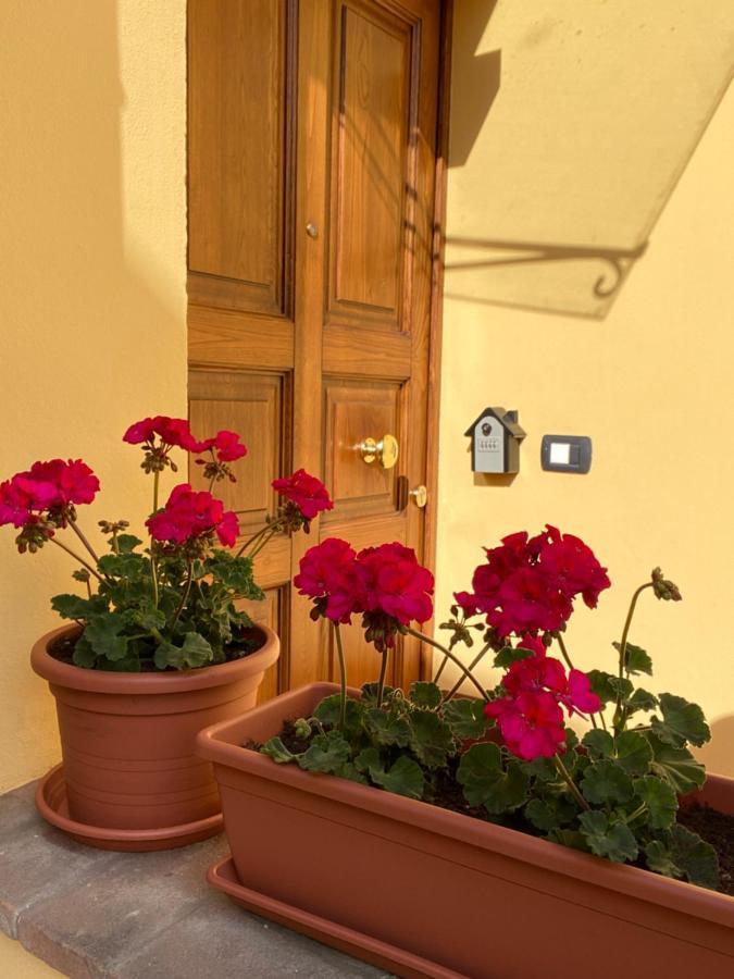 Le Casette Di Viola Arezzo Exterior foto